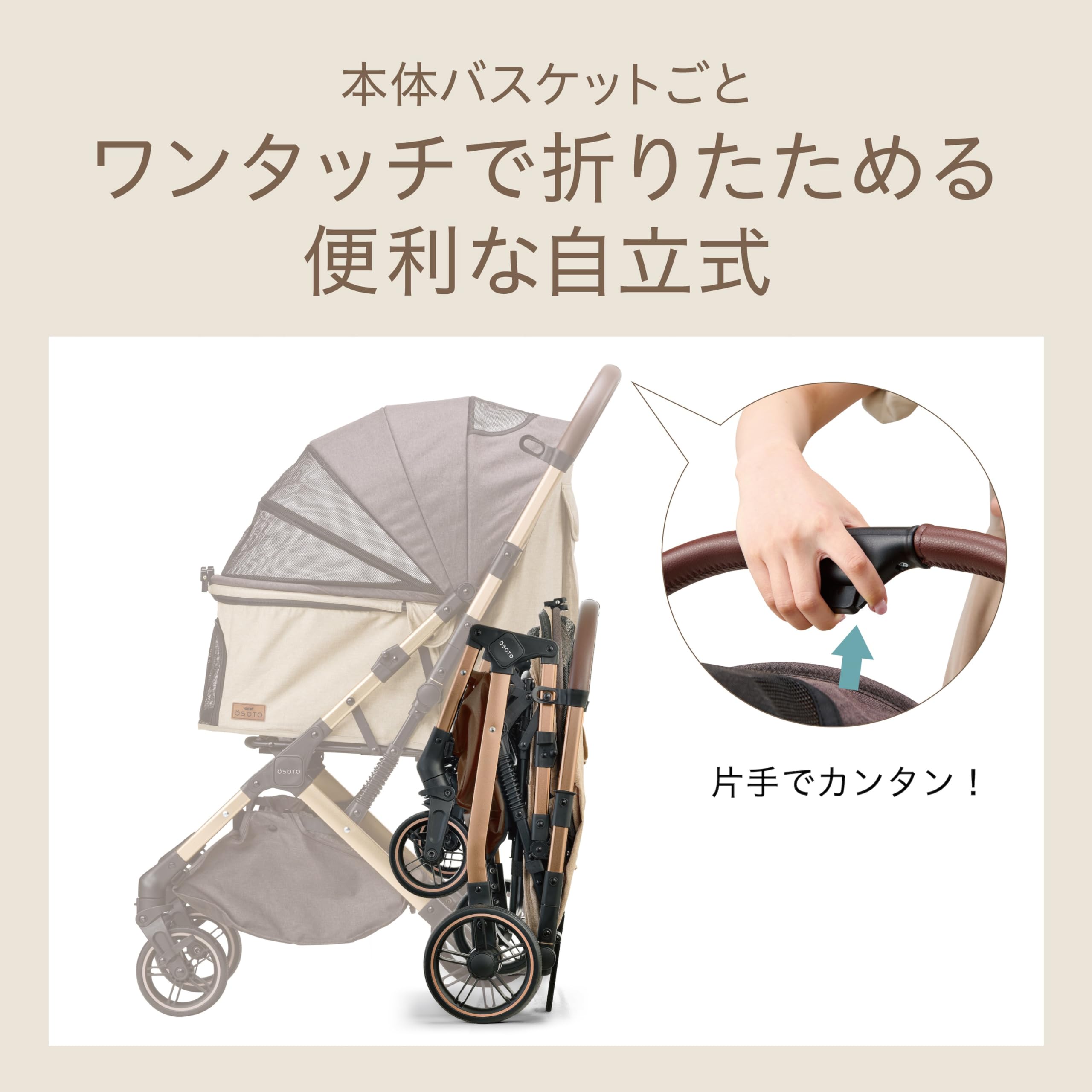 Amazon | ジェックス OSOTO GRACE QC Ⅱ キャメル ワンタッチで